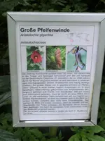CIMG7554.webp