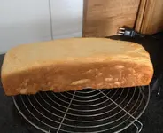 Toast1.webp