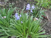 IMG_4640.webp