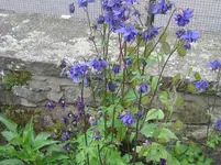 IMG_4644.webp