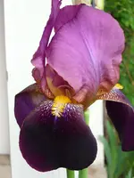 DSCI2481.webp
