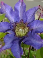 DSCI2484.webp