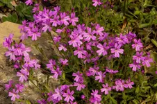 Stg 14-05-09-2064.webp
