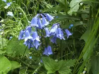 BILD2817.webp