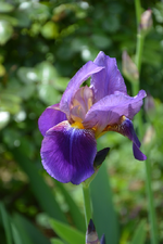DSC_1106.webp