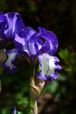 DSC_1097.webp