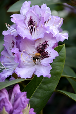 DSC_1113.webp