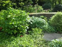 SAM_3923.webp