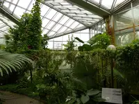 Palmen Garten 10.05 (23).webp
