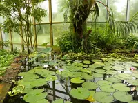 Palmen Garten 10.05 (36).webp