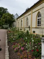 Palmen Garten 10.05 (58).webp