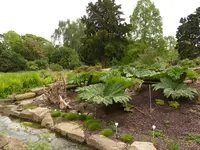 Palmen Garten 10.05 (92).webp