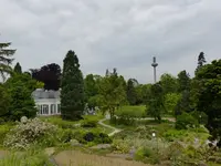 Palmen Garten 10.05 (100).webp