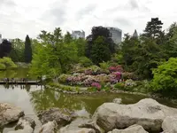 Palmen Garten 10.05 (105).webp