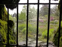 Palmen Garten 10.05 (107).webp
