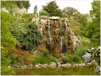 Palmen Garten 10.05 (110).webp