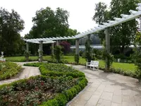 Palmen Garten 10.05 (119).webp