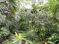 Palmen Garten 10.05 (120).webp