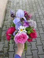P1070915.webp