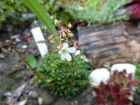 P1070973.webp