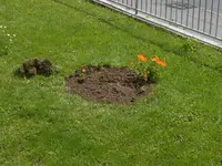 es_werde_beet_2.webp