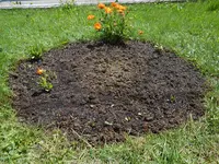 es_werde_beet_3.webp