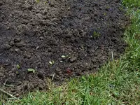 es_werde_beet_4.webp