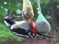 010_1024x768.webp