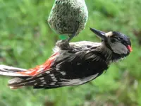 018_1024x768.webp