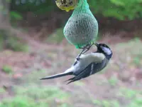 002_1024x768.webp