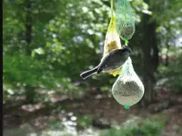 003_1024x768.webp