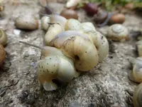 P1050166.webp