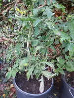 K1600_IMG_0280.webp