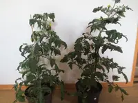 K1600_IMG_0283.webp