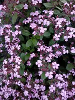 IMG_20140512_192707.webp