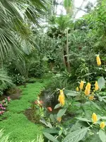 CIMG7630.webp