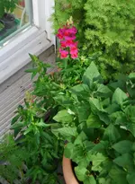DSC_0349.2.webp