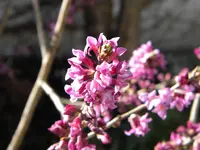 DSCN6645.webp