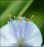 DSC_0005.webp