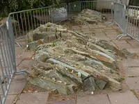Palmen Garten 10.05 (63).webp