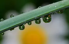 DSC_0032.webp
