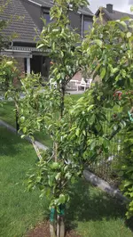 2014-05-12 13.23.53.webp