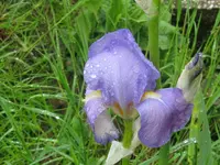 016_1024x768.webp
