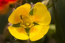 Stg 14-05-09-2068.webp