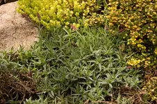 Stg 14-05-06-2057.webp