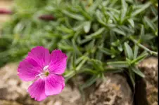 Stg 14-05-11-2132.webp