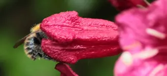Verstecken 140513.webp