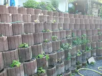 Pflanzmauer3.webp
