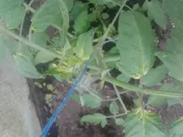 20140512_094357.webp