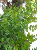 20140514_115501_resized.webp